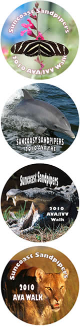 Suncoast Sandpipers 2010 YRE patches